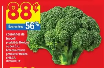 Maxi COURONNES DE BROCOLI | BROCCOLI CROWNS offer