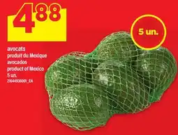 Maxi AVOCATS | AVOCADOS, 5 un offer