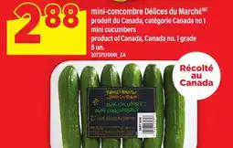 Maxi MINI-CONCOMBRE DÉLICES DU MARCHÉ | MINI CUCUMBERS, 6 un offer