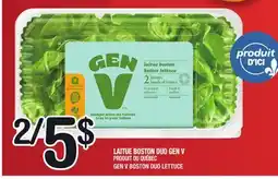 Marche Ami LAITUE BOSTON DUO GEN V | GEN V BOSTON DUO LETTUCE offer