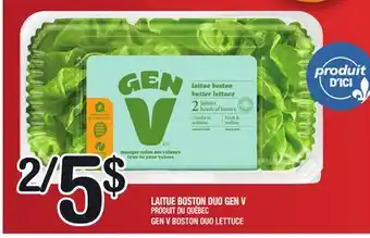 Marche Ami LAITUE BOSTON DUO GEN V | GEN V BOSTON DUO LETTUCE offer