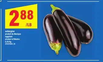 Maxi AUBERGINE | EGGPLANT offer