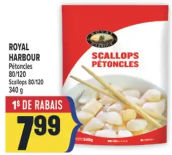 Marché Adonis ROYAL HARBOUR PÉTONCLES 80/120 | SCALLOPS 80/120 offer