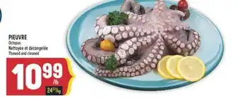 Marché Adonis PIEUVRE | OCTOPUS offer