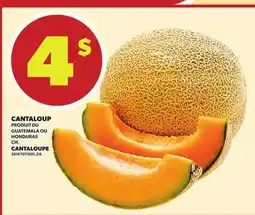 Provigo CANTALOUP offer