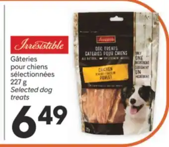 Brunet IRRESISTIBLE GÂTERIES POUR CHIENS SÉLECTIONNÉES offer