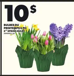 Provigo BULBES DU PRINTEMPS 6 PO offer