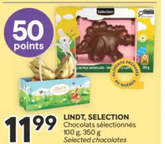 Brunet LINDT, SELECTION Chocolats sélectionnés offer