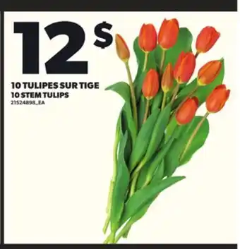 Provigo 10 TULIPES SUR TIGE offer