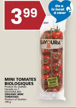 Rachelle-Bery Grocery SAVOURA BIO ORGANIC MINI TOMATOES offer