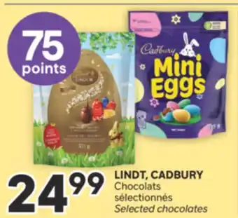 Brunet LINDT, CADBURY Chocolats sélectionnés offer