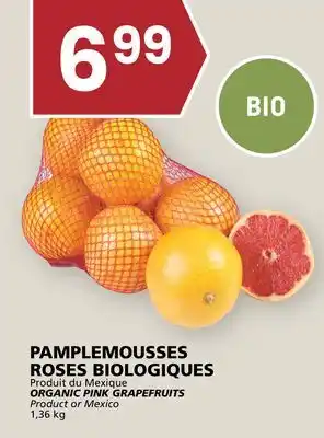 Rachelle-Bery Grocery ORGANIC PINK GRAPEFRUITS offer