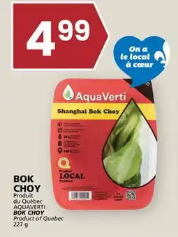 Rachelle-Bery Grocery AQUAVERTI BOK CHOY offer