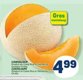 Marché Bonichoix CANTALOUPE offer