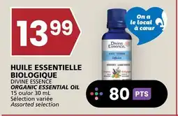 Rachelle-Bery Grocery DIVINE ESSENCE ORGANIC ESSENTIAL OIL offer