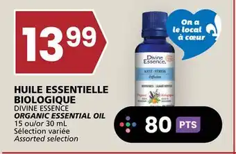 Rachelle-Bery Grocery DIVINE ESSENCE ORGANIC ESSENTIAL OIL offer