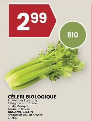 Rachelle-Bery Grocery ORGANIC CELERY offer