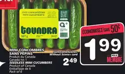 Marches Tradition SEEDLESS MINI CUCUMBERS offer