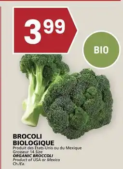 Rachelle-Bery Grocery ORGANIC BROCCOLI offer