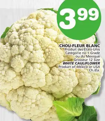 Marches Tradition WHITE CAULIFLOWER offer