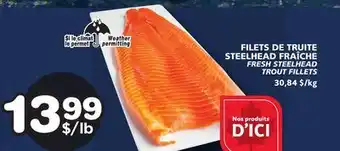 Marches Tradition FRESH STEELHEAD TROUT FILLETS offer