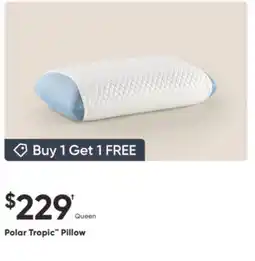 Dormez Vous Polar Tropic Pillow offer