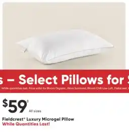 Dormez Vous Fieldcrest Luxury Microgel Pillow offer