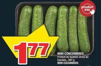 Super C MINI CONCOMBRES | MINI CUCUMBERS offer