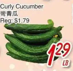 Foody Mart Curly Cucumber offer