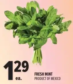 Metro Fresh mint offer