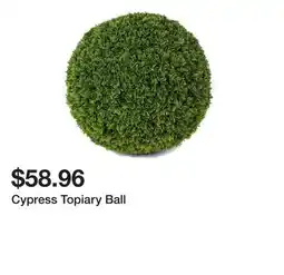 Bed Bath & Beyond Cypress Topiary Ball offer