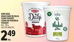 Metro Hans dahi, khaas dahi or halal plain yogourt, cedar or phoenicia yogourt offer