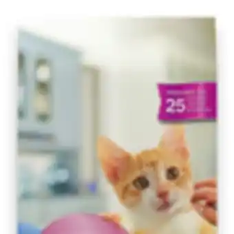 Walmart Purina Kitten Chow 1.8 kg offer