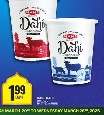 Food Basics HANS DAHI offer