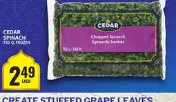 Food Basics CEDAR SPINACH offer