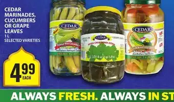 Food Basics CEDAR MARINADES, CUCUMBERS OR GRAPE LEAVES offer