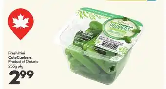 Longo's Fresh Mini CuteCumbers offer