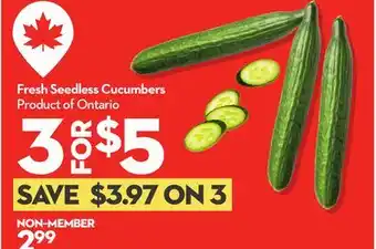 Longo's Fresh Seedless Cucumbers offer