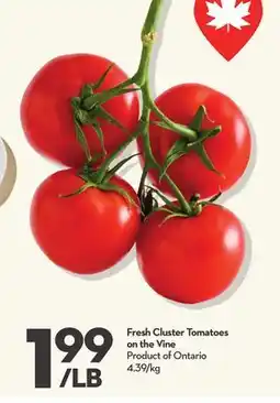 Longo's Fresh Cluster Tomatoes on the Vine offer