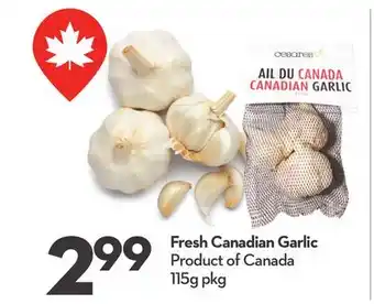 Longo's Fresh Canadian Garlic offer