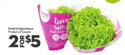 Longo's Fresh Living Lettuce offer