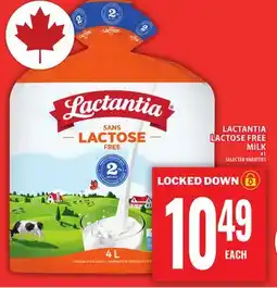 Food Basics LACTANTIA LACTOSE FREE MILK offer