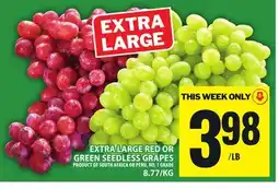 Food Basics EXTRA LARGE RED OR GREEN SEEDLESS GRAPES offer