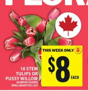 Food Basics 10 STEM TULIPS OR PUSSY WILLOW offer