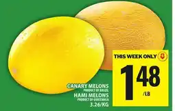 Food Basics CANARY MELONS OR HAMI MELONS offer