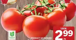 Foodland Tomatoes on the Vine offer