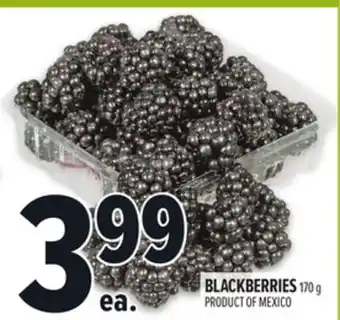 Metro BLACKBERRIES offer