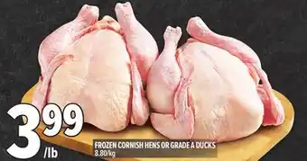 Metro FROZEN CORNISH HENS OR GRADE A DUCKS offer