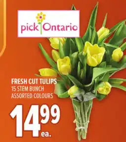 Metro FRESH CUT TULIPS offer