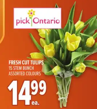 Metro FRESH CUT TULIPS offer